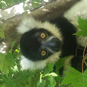 Meet your Posher, Will